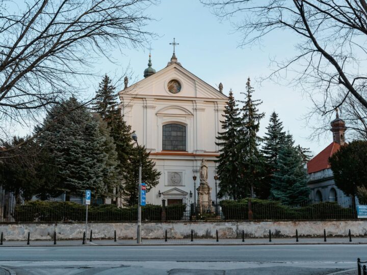 Central Park Simion Brnuiu